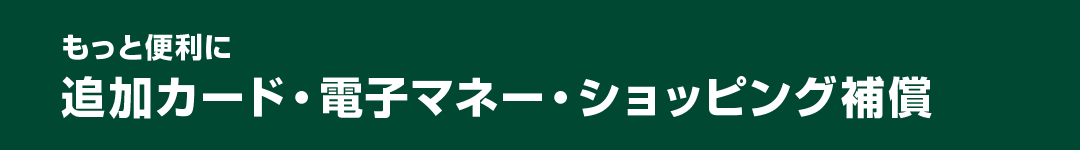もっと便利に　追加カード・電子マネー・ショッピング補償